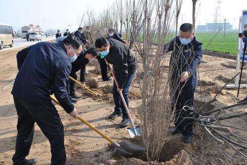 山东方案 承包荒山千亩以上将给予3 的建设用地开发使用权